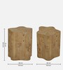 Jolanta Oak Burl Veneer Star Shape End Table in Natural finish