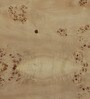 Jolanta Oak Burl Veneer Star Shape End Table in Natural finish