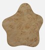 Jolanta Oak Burl Veneer Star Shape End Table in Natural finish