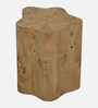 Jolanta Oak Burl Veneer Star Shape End Table in Natural finish