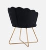 Jolo Velvet Low Back Lounge Chair In Black Colour