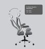 Jordi Breathable Mesh Ergonomic Chair with 2D Armrests & Adjustable Support in Grey Colour