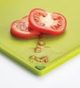 Index Small Plastic Cutting Board Set with Storage Case