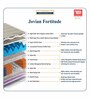 Jovian Fortitude Antibacterial 6 inch Bonnell Spring Single Mattress