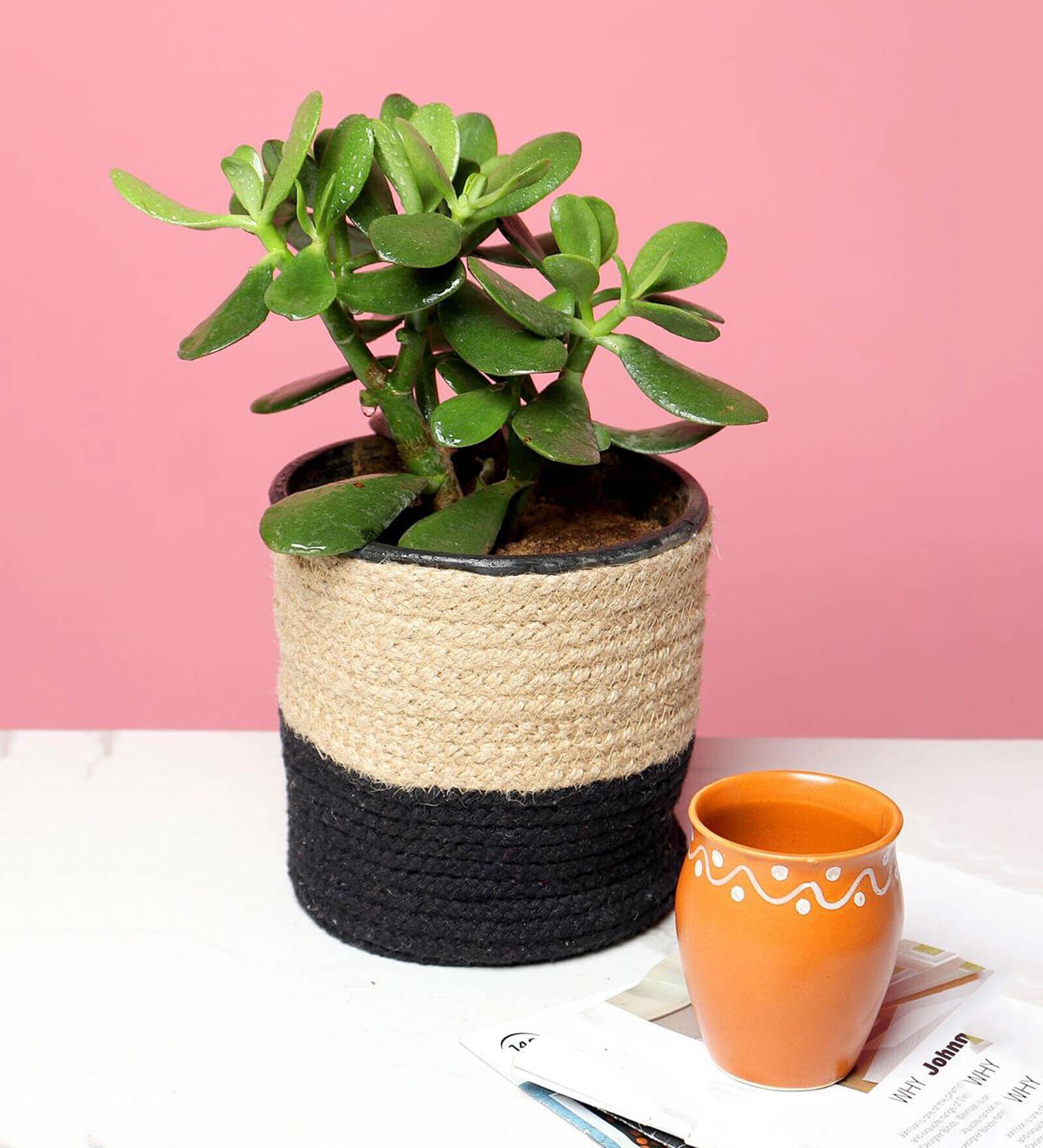 Set Of 2 Beige Jute Handwoven Multipurpose Planter & Storage Basket
