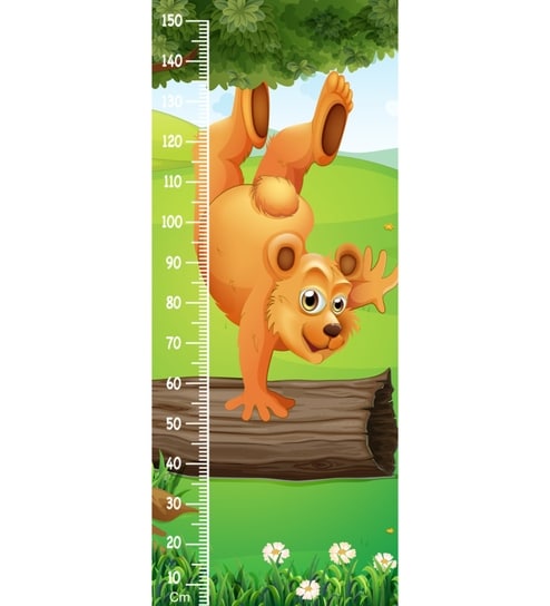 WENS Wall Height Chart Multicolour Online in India, Buy at Best