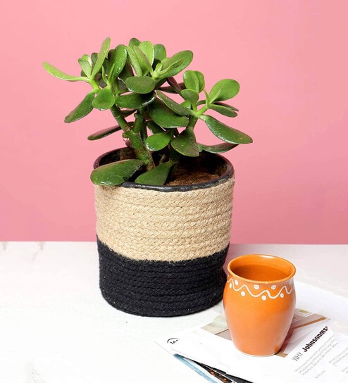 (1Pc) Black & Beige Jute Handwoven Multipurpose Planter & Storage Basket