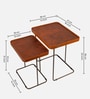 Juhe Nesting Table In Brown Colour (Set of 2)