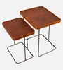 Juhe Nesting Table In Brown Colour (Set of 2)
