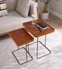 Juhe Nesting Table In Brown Colour (Set of 2)