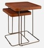 Juhe Nesting Table In Brown Colour (Set of 2)