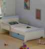 Jujube Kids Single Bed in Light Blue Finish