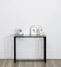 Julian Metal Console Table In Black Finish
