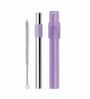 Jumbo Purple & Silver Stainless Steel (Set of 3) Pocket Straw