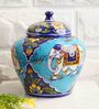Jumbo Pottery Ceramic Handpainted Jar