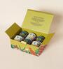 Jungle Soiree Mugs Gift Set of 6