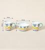 Jungle Soiree Tea-Trio Gift Set of 3