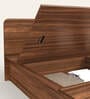 Juno Queen Size bed with Box Storage in Brown Colour