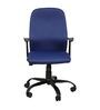 Jupiter Ergonomic Chair in Blue Colour