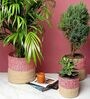 Set Of 3 Pink & Beige Jute Handwoven Multipurpose Planter & Storage Basket