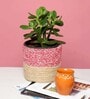 Set Of 2 Pink & Beige Jute Handwoven Multipurpose Planter & Storage Basket