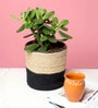 Set Of 2 Black & Beige Jute Handwoven Multipurpose Planter & Storage Basket