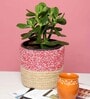 Set Of 2 Pink & Beige Jute Handwoven Multipurpose Planter & Storage Basket
