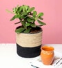 Set Of 2 Black & Beige Jute Handwoven Multipurpose Planter & Storage Basket