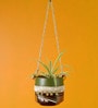 Blue Owl Earthen NA Hanging Planter with Stand