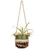 Blue Owl Earthen NA Hanging Planter with Stand