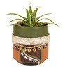 Lightbringer Na Wall Mounted Desk Pot
