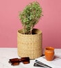 Set Of 2 Beige Kouna Grass Handwoven Multipurpose Planter & Storage Basket
