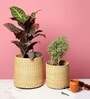 Set Of 2 Beige Kouna Grass Handwoven Multipurpose Planter & Storage Basket