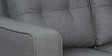 Kaiyo 2 Seater Sofa in Ash Grey Colour