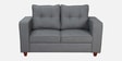 Kaiyo 2 Seater Sofa in Ash Grey Colour