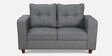 Kaiyo 2 Seater Sofa in Ash Grey Colour