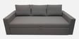 Kara Fabric 3 Seater Pull Out Sofa Cum Bed In Grey Colour