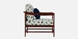 Kaveri 2 Seater Sofa In Natual & Blue Colour