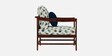 Kaveri 3 Seater Sofa In Natual & Blue Colour