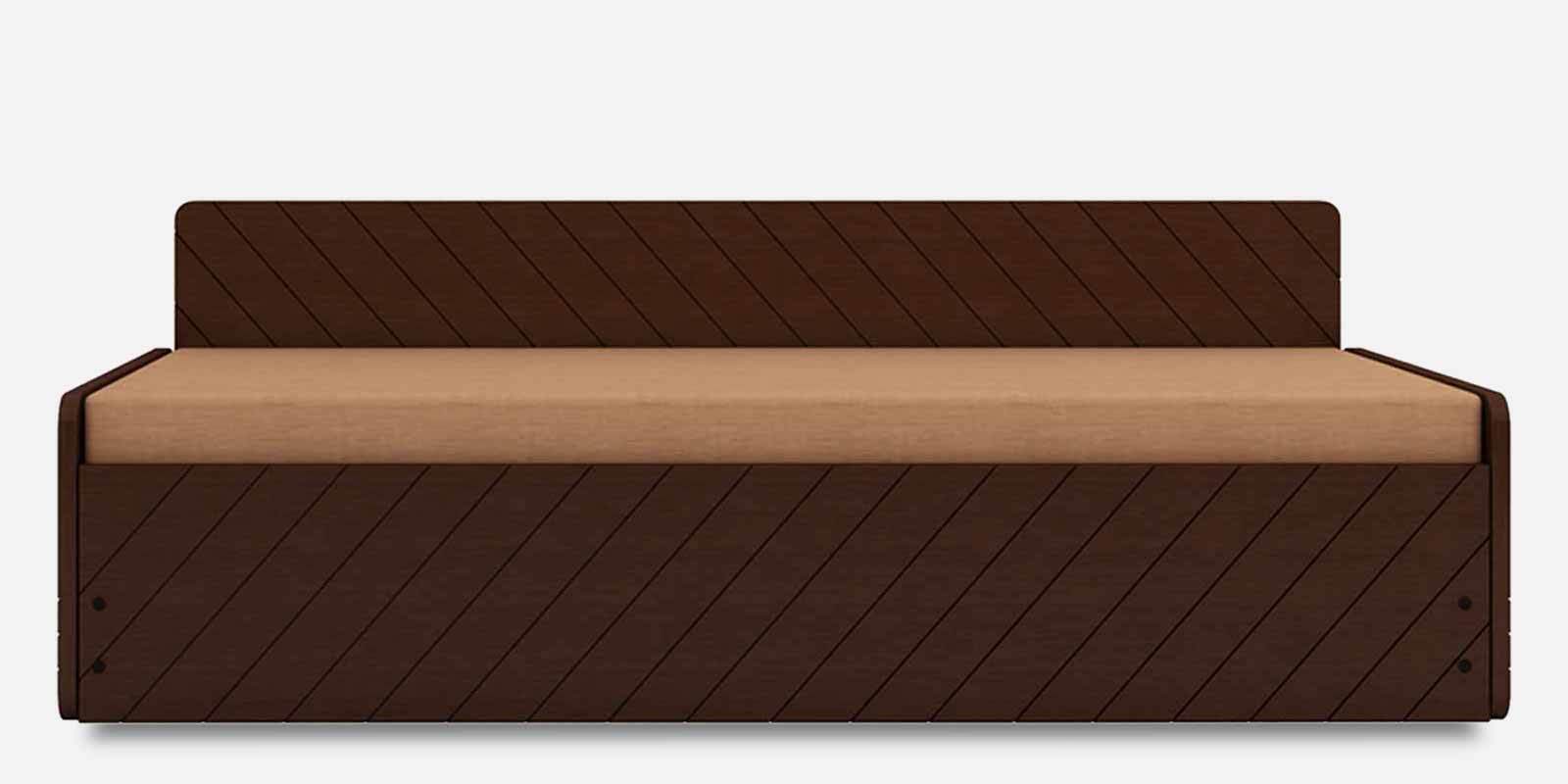 Kaiden Pull-Out Sofa Cum Bed in Textured Brown & Beige Finish