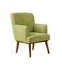 Kabo Arm Chair In Green Colour