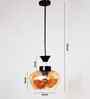 Kachori Glass Pendant Light