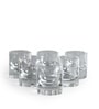 Kaci Handmade Whisky Glass Set Of 6