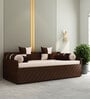 Kaiden King Sized Pull-Out Sofa Cum Bed  With Box Storage In Brown Finish