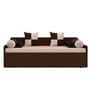 Kaiden King Sized Pull-Out Sofa Cum Bed  With Box Storage In Brown Finish