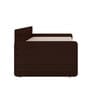 Kaiden King Sized Pull-Out Sofa Cum Bed  With Box Storage In Brown Finish