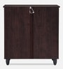 Kaira 2 Door Shoe Rack With Drawer In Wenge Color