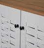Kaira 4 Door Shoe Rack In Oak And White Finish
