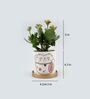 Kalanchoe Natural Plant In Cat Print Ceramic Pot With Golden Plate