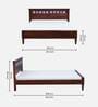 Kamchini Sheesham Wood Queen Size Bed In Scratch Resistant Honey Oak Finish